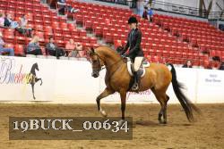 19BUCK_00634 thumbnail
