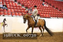 19BUCK_00730 thumbnail