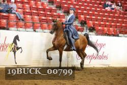 19BUCK_00799 thumbnail