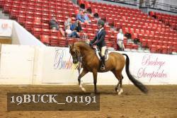 19BUCK_01191 thumbnail