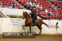 19BUCK_01267 thumbnail