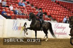 19BUCK_01271 thumbnail