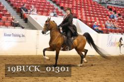 19BUCK_01301 thumbnail