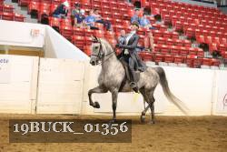 19BUCK_01356 thumbnail