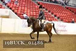 19BUCK_01486 thumbnail
