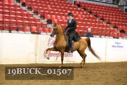 19BUCK_01507 thumbnail