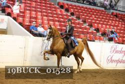 19BUCK_01528 thumbnail