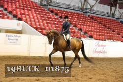19BUCK_01875 thumbnail