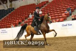 19BUCK_02059 thumbnail