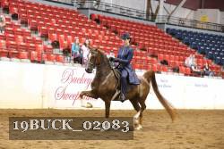 19BUCK_02083 thumbnail