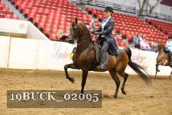 19BUCK_02095 thumbnail