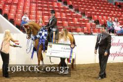 19BUCK_02137 thumbnail