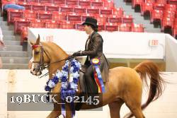 19BUCK_02145 thumbnail
