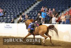 19BUCK_02184 thumbnail