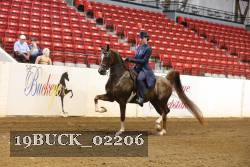 19BUCK_02206 thumbnail