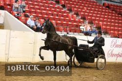19BUCK_02494 thumbnail