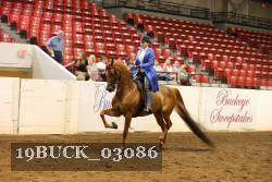 19BUCK_03086 thumbnail