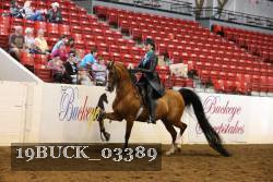 19BUCK_03389 thumbnail