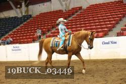 19BUCK_03446 thumbnail
