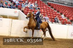 19BUCK_03568 thumbnail