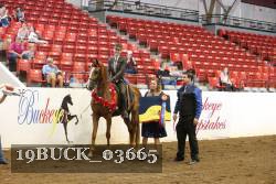 19BUCK_03665 thumbnail