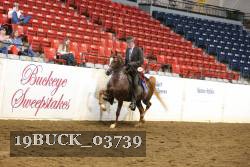 19BUCK_03739 thumbnail