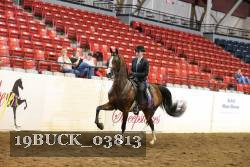 19BUCK_03813 thumbnail