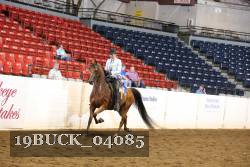19BUCK_04085 thumbnail