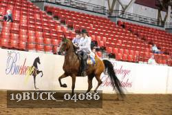 19BUCK_04086 thumbnail