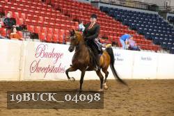 19BUCK_04098 thumbnail