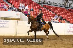 19BUCK_04100 thumbnail
