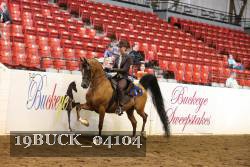 19BUCK_04104 thumbnail