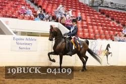 19BUCK_04109 thumbnail