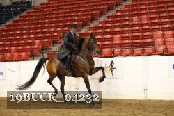 19BUCK_04232 thumbnail