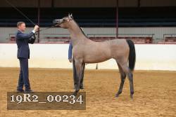 19R2_00234 thumbnail