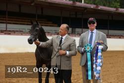 19R2_00243 thumbnail