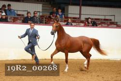 19R2_00268 thumbnail