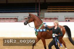 19R2_00369 thumbnail