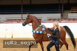 19R2_00370 thumbnail