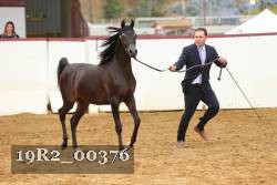 19R2_00376 thumbnail