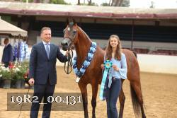 19R2_00431 thumbnail