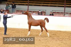 19R2_00462 thumbnail