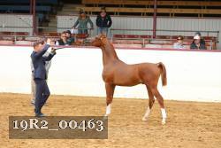 19R2_00463 thumbnail