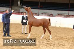 19R2_00464 thumbnail
