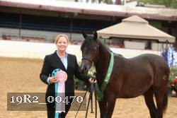19R2_00470 thumbnail