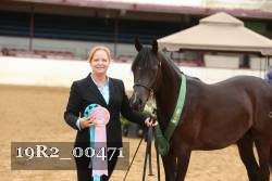 19R2_00471 thumbnail