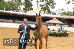 19R2_00474 thumbnail