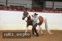 19R2_00580 thumbnail