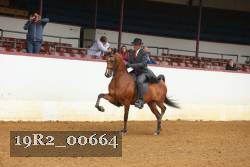 19R2_00664 thumbnail