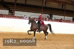 19R2_00968 thumbnail